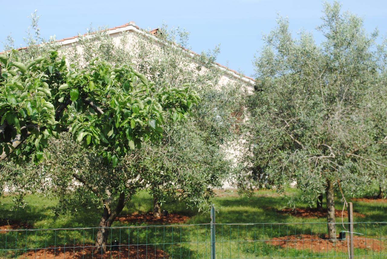 Holiday Home Ana Pula Exterior foto